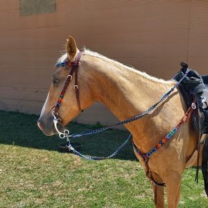 Meet your Posher, Karis